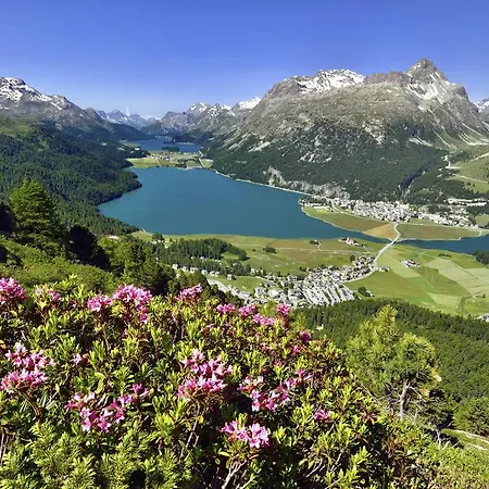 Chesa Guardaval Apartment *