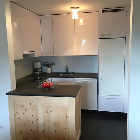 Apartment Chesa Guardaval *